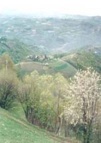Foto-09