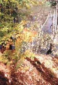 Foto-10