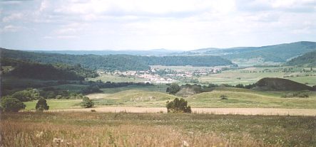 Trappold_01